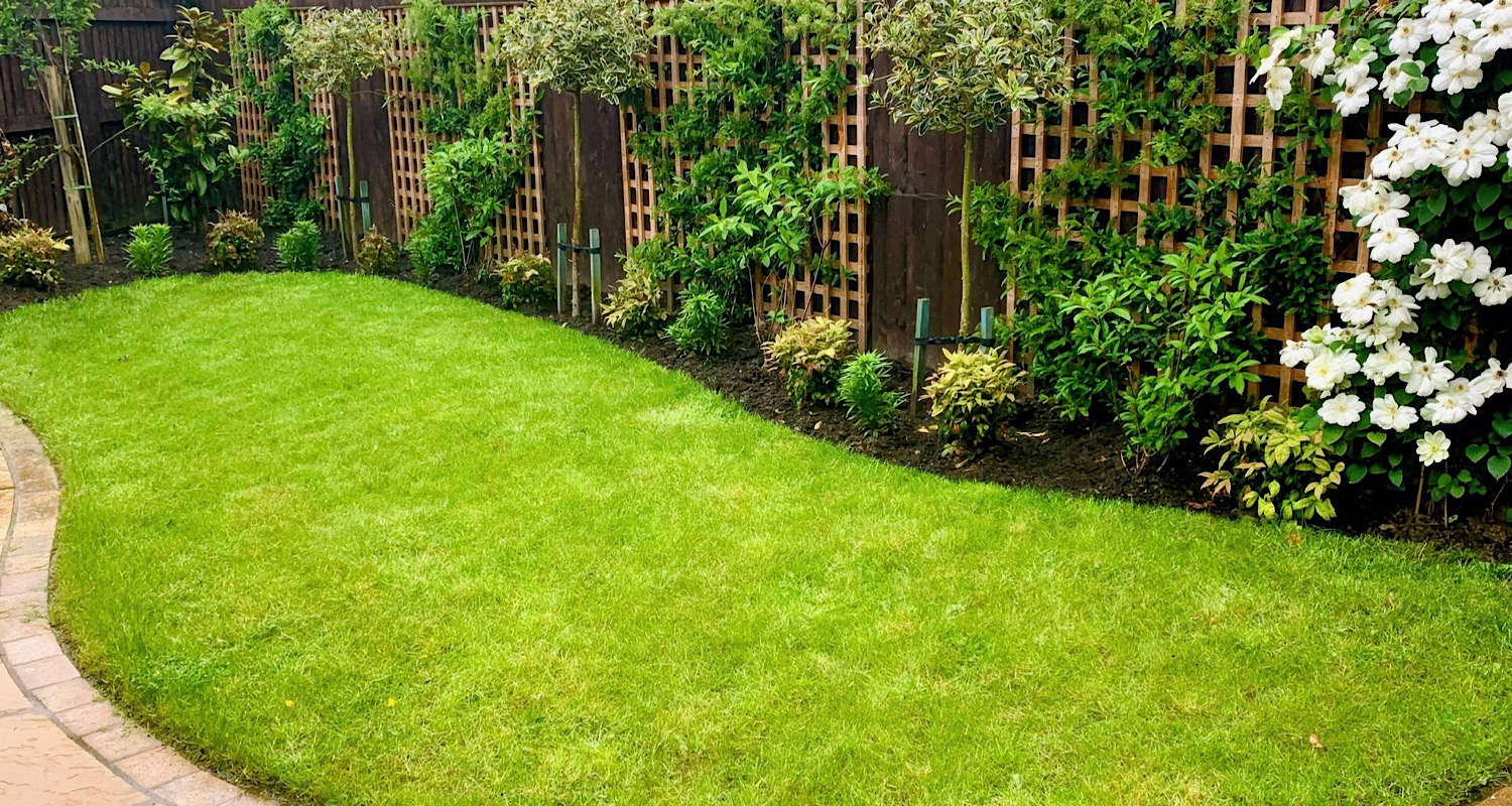 Garden lawn Garden lawn with various garden shrubs